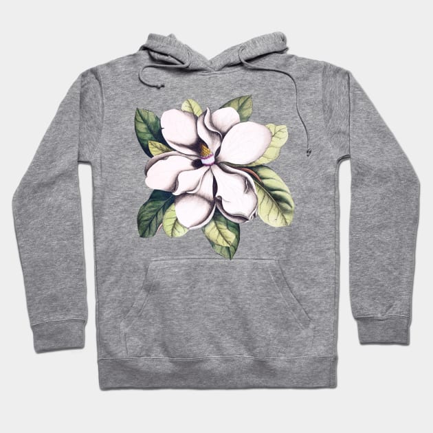 Magnolia Flower Hoodie by CatyArte